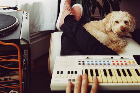 do dogs like piano music? Do dogs prefer classical or jazz?